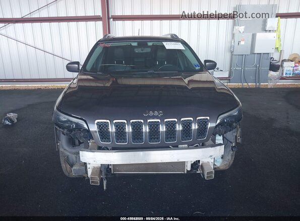 1C4PJMDX4KD165359 2019 JEEP CHEROKEE Gray Սալոնի հետևի տեսք