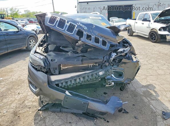 1C4PJMDXXLD650560 2020 JEEP CHEROKEE Charcoal 