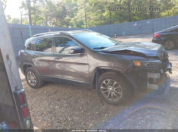 1C4PJMLB4KD182443 2019 JEEP CHEROKEE Gray Vista interior trasera