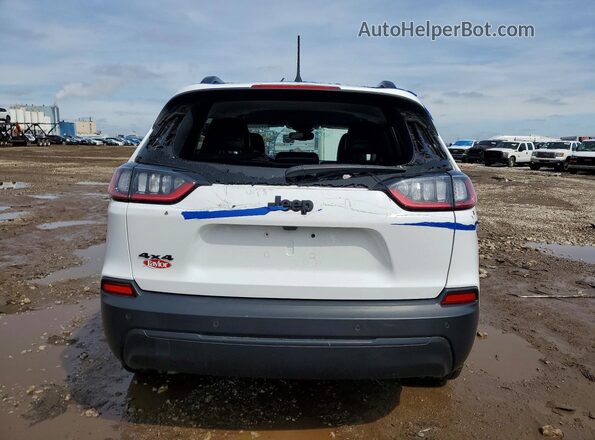 1C4PJMMB6PD112500 2023 JEEP CHEROKEE Белый Вид сзади