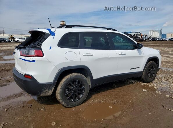 1C4PJMMB6PD112500 2023 JEEP CHEROKEE Белый Задняя правая четверть
