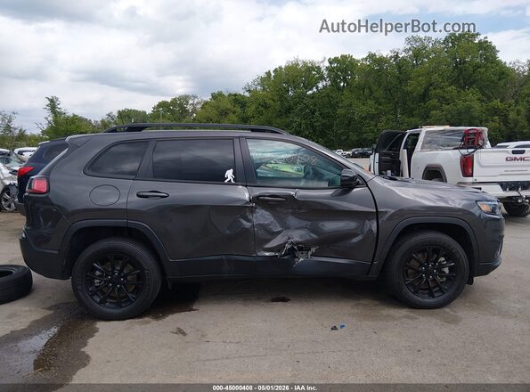 1C4PJMMB7PD101487 2023 JEEP CHEROKEE Gray Vista interior trasera