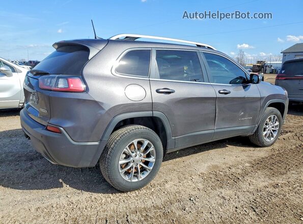 1C4PJMMN1MD110403 2021 JEEP CHEROKEE Gray Задня права чверть