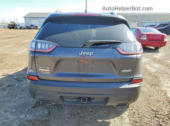 1C4PJMMN1MD110403 2021 JEEP CHEROKEE Gray Вид ззаду