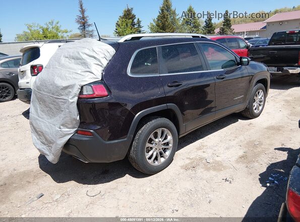 1C4PJMMX5MD226219 2021 JEEP CHEROKEE Black Tył prawy