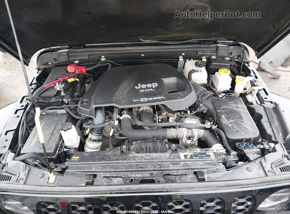 1C6JJTAM6PL594968 2023 JEEP GLADIATOR Black Widok z tyłu