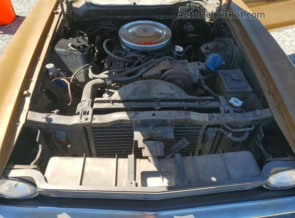 1F01F143439 1971 FORD MUSTANG Gold Вид задньої частини салону