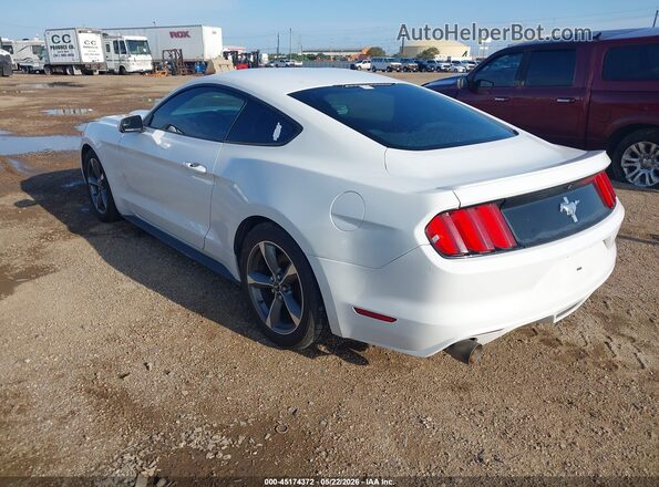 1FA6P8AM0G5252050 2016 FORD MUSTANG White Rear left