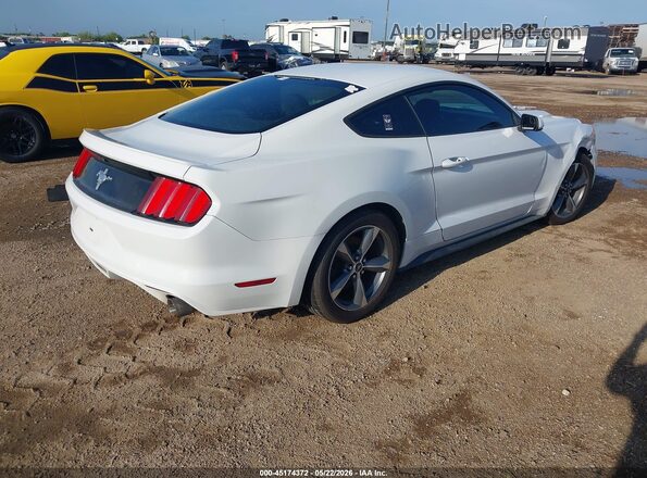 1FA6P8AM0G5252050 2016 FORD MUSTANG White Rear right