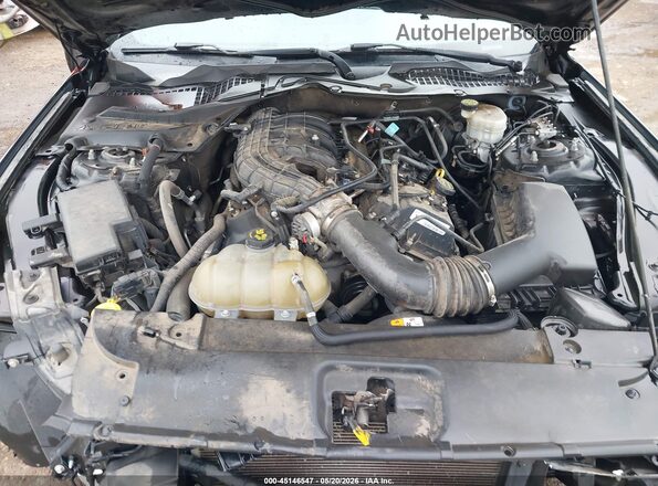 1FA6P8AM2H5330023 2017 FORD MUSTANG Black Widok z tyłu