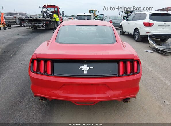 1FA6P8AM3H5250262 2017 FORD MUSTANG Red 