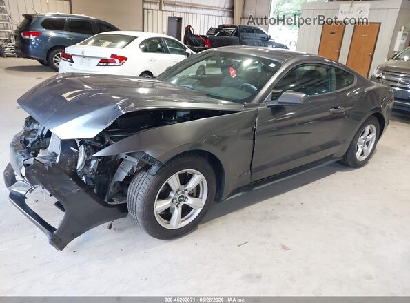 1FA6P8AM7H5301231 2017 FORD MUSTANG Серый 