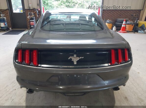 1FA6P8AM7H5301231 2017 FORD MUSTANG Серый 