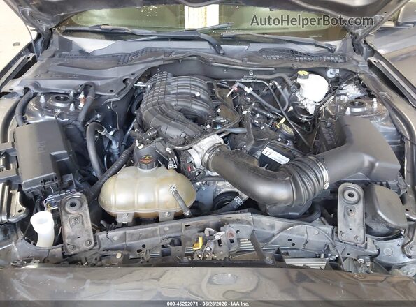 1FA6P8AM7H5301231 2017 FORD MUSTANG Серый 