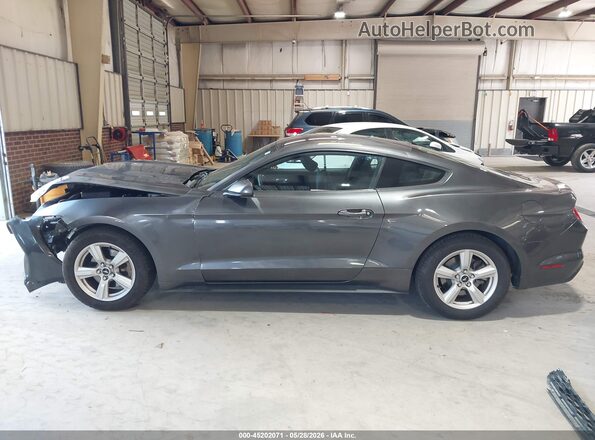 1FA6P8AM7H5301231 2017 FORD MUSTANG Серый 