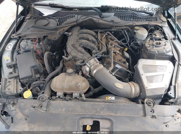 1FA6P8AM8G5278802 2016 FORD MUSTANG Gray უკანა ხედი