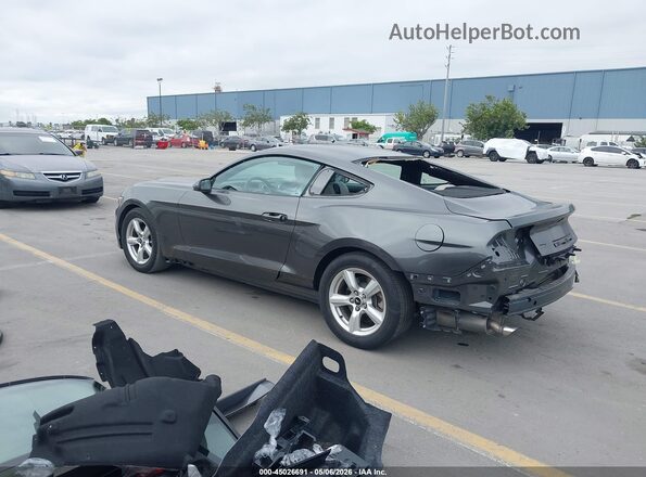 1FA6P8AMXH5214181 2017 FORD MUSTANG Gray 
