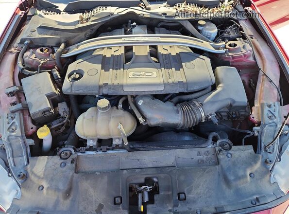 1FA6P8CF0K5157737 2019 FORD MUSTANG Темно-бордовый Вид задней части салона