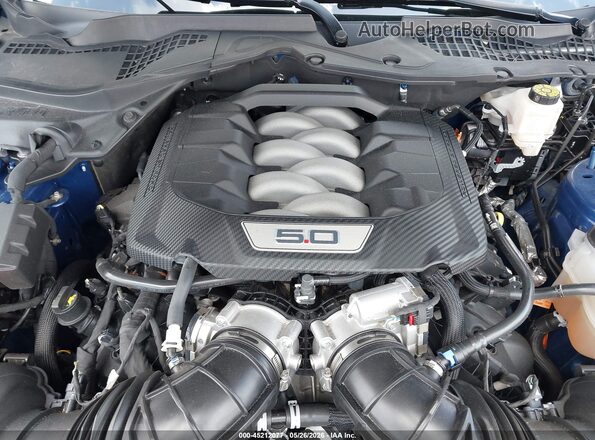 1FA6P8CF0R5405642 2024 FORD MUSTANG Blue Вид ззаду