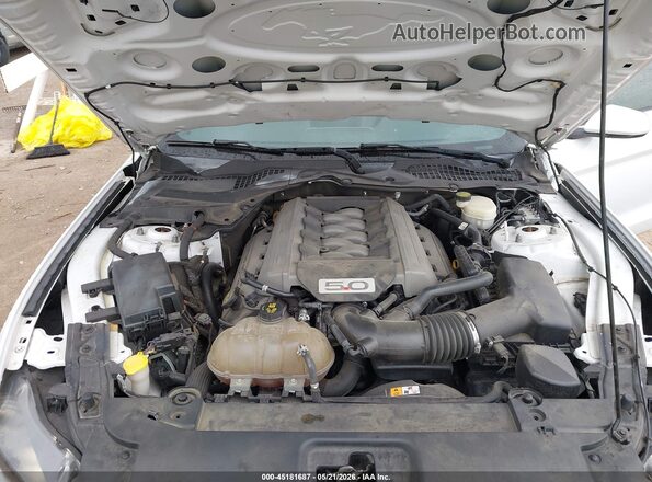 1FA6P8CF3G5245205 2016 FORD MUSTANG White Вид ззаду