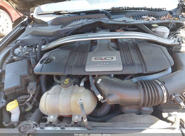 1FA6P8CF6K5111510 2019 FORD MUSTANG Gray Rear view
