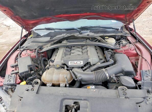1FA6P8CF7G5267529 2016 FORD MUSTANG Red Вид задньої частини салону