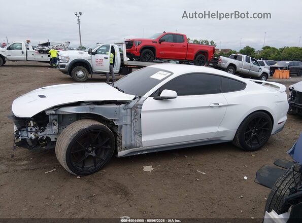 1FA6P8CF9K5130035 2019 FORD MUSTANG White 