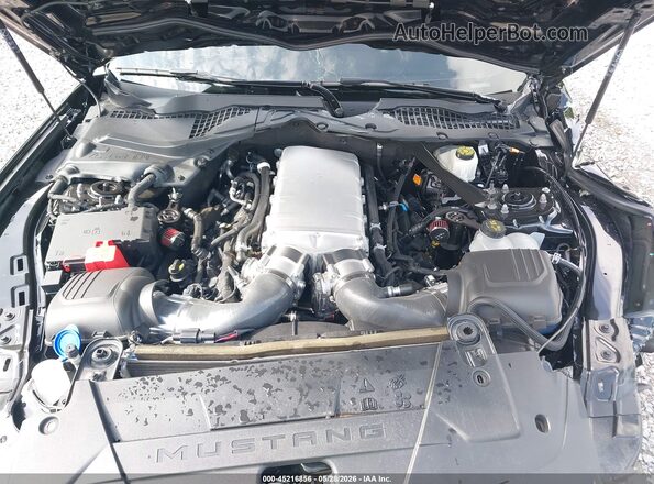 1FA6P8CFXR5421895 2024 FORD MUSTANG Black Widok z tyłu