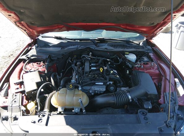 1FA6P8TH0G5201261 2016 FORD MUSTANG Red Вид ззаду