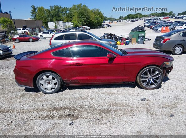 1FA6P8TH0G5201261 2016 FORD MUSTANG Red Вид задньої частини салону