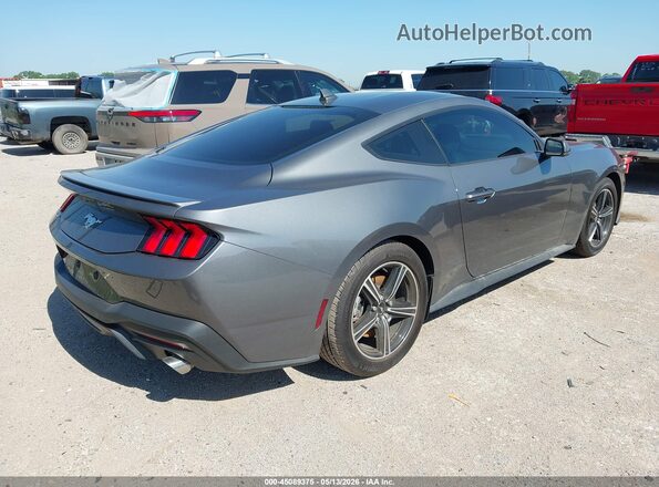 1FA6P8TH0S5101556 2025 FORD MUSTANG Gray Tył prawy
