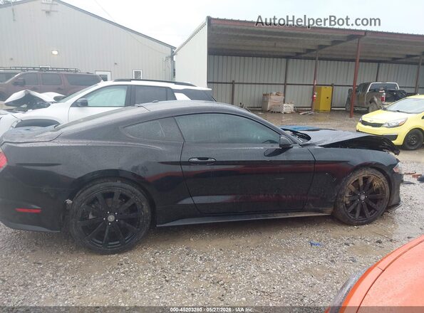 1FA6P8TH2K5194001 2019 FORD MUSTANG Black Вид задньої частини салону