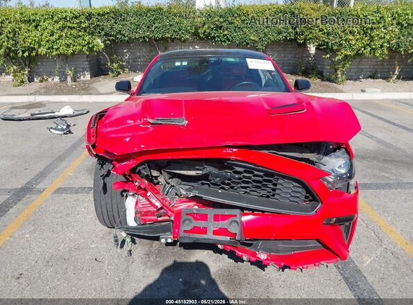 1FA6P8TH2M5150115 2021 FORD MUSTANG Красный Вид задней части салона