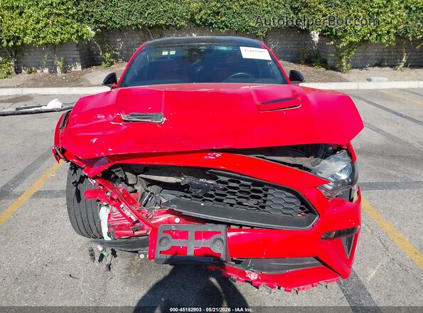 1FA6P8TH2M5150115 2021 FORD MUSTANG Красный 
