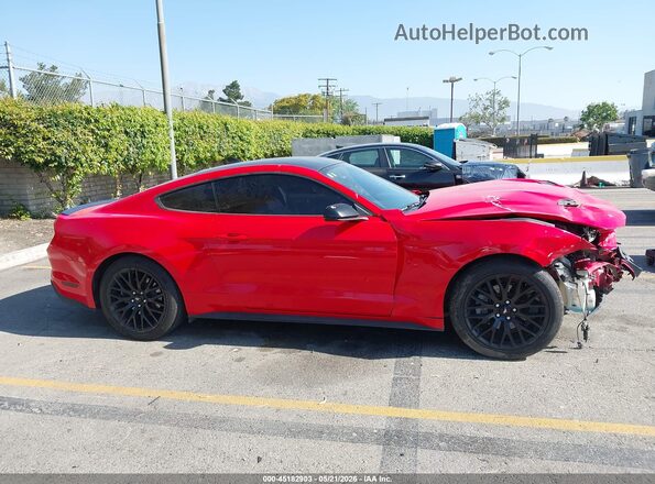 1FA6P8TH2M5150115 2021 FORD MUSTANG Красный Панорамный вид салона 360°