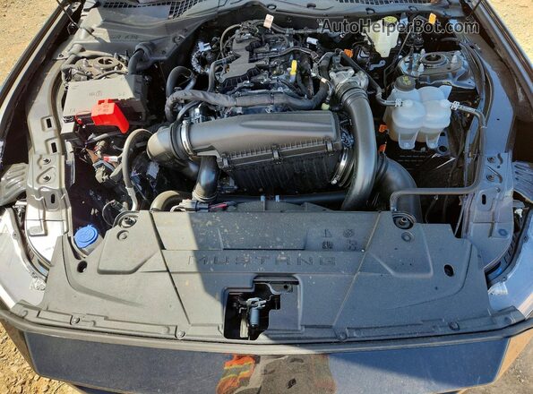 1FA6P8TH2S5118567 2025 FORD MUSTANG Black 