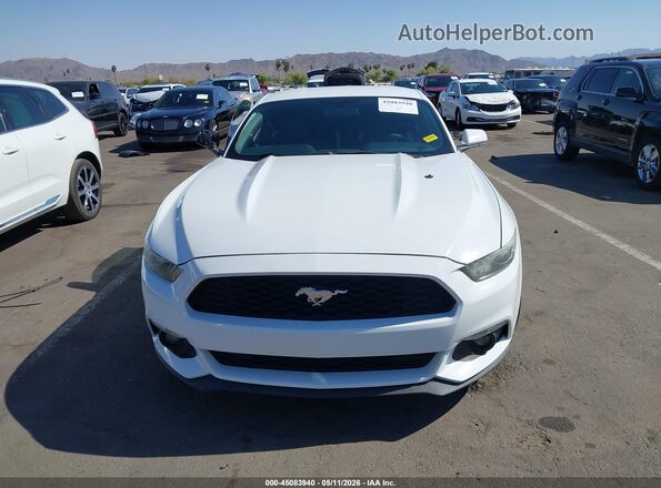 1FA6P8TH3H5344786 2017 FORD MUSTANG White 