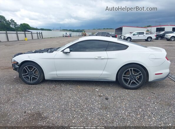 1FA6P8TH4L5120113 2020 FORD MUSTANG Белый 