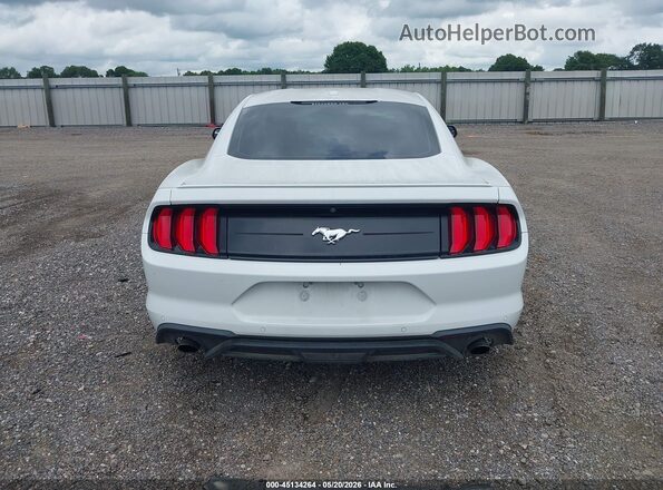1FA6P8TH4L5120113 2020 FORD MUSTANG Белый 