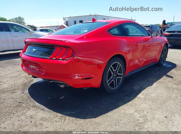 1FA6P8TH4M5105516 2021 FORD MUSTANG Red Задня права чверть