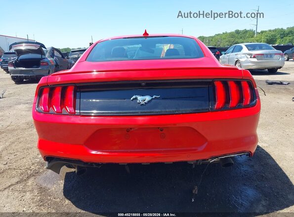 1FA6P8TH4M5105516 2021 FORD MUSTANG Red 