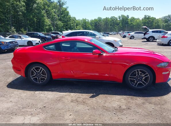 1FA6P8TH4M5105516 2021 FORD MUSTANG Red Вид задньої частини салону