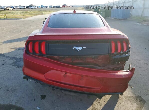 1FA6P8TH4M5128441 2021 FORD MUSTANG Burgundy უკანა ხედი