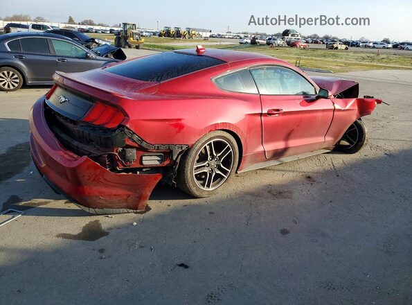 1FA6P8TH4M5128441 2021 FORD MUSTANG Burgundy უკანა მარჯვენა