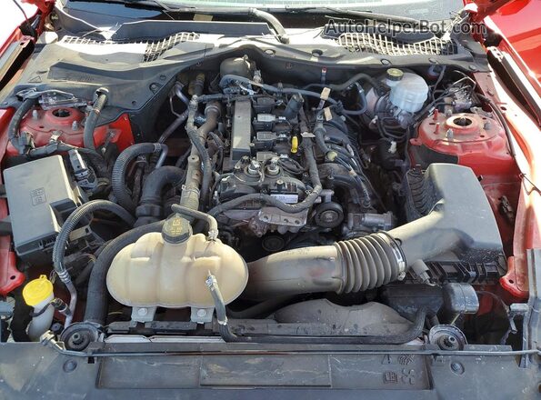 1FA6P8TH5K5123598 2019 FORD MUSTANG Red უკანა სალონის ხედი