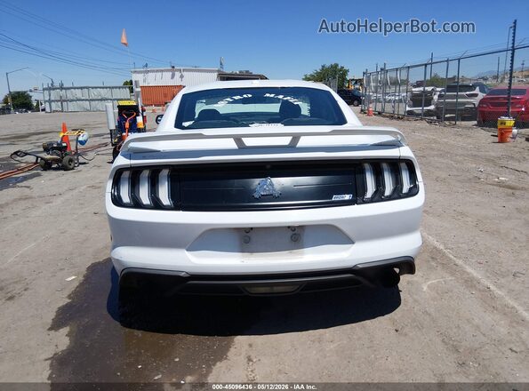 1FA6P8TH5K5143494 2019 FORD MUSTANG White 
