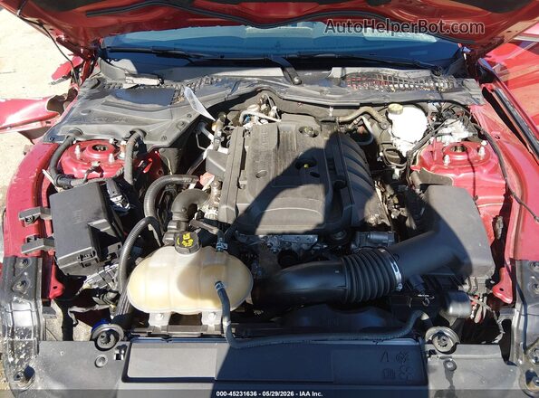 1FA6P8TH5L5126809 2020 FORD MUSTANG Red უკანა ხედი