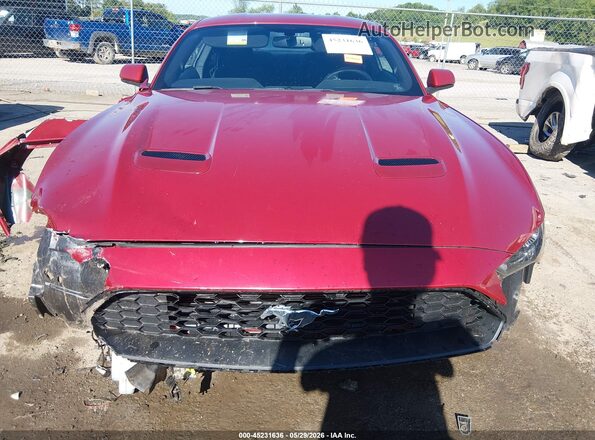1FA6P8TH5L5126809 2020 FORD MUSTANG Red უკანა სალონის ხედი
