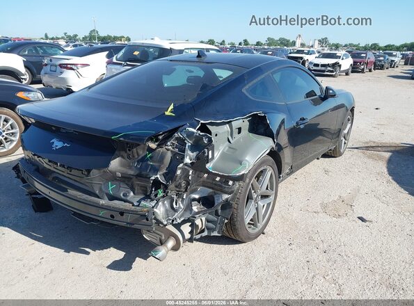 1FA6P8TH5R5102891 2024 FORD MUSTANG Black Tył prawy