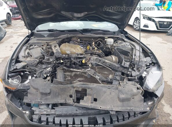 1FA6P8TH6L5190955 2020 FORD MUSTANG Gray Rear view